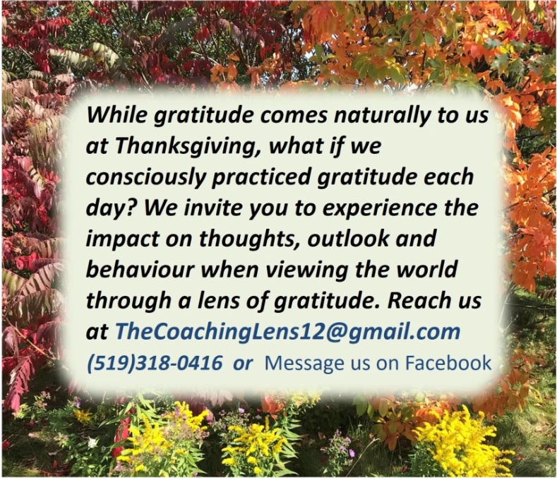 Read more about the article Thanksgiving thoughts on Gratitude
