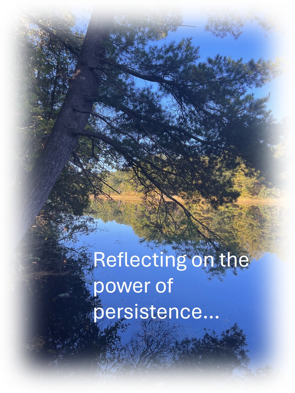 Read more about the article Reflecting on the power of persistence