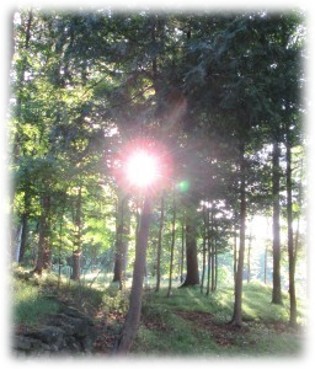 Read more about the article Resilience vs the Inner Critic…