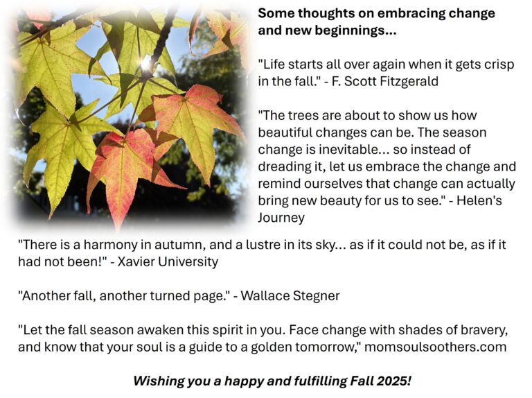 Read more about the article Embracing Fall Transition