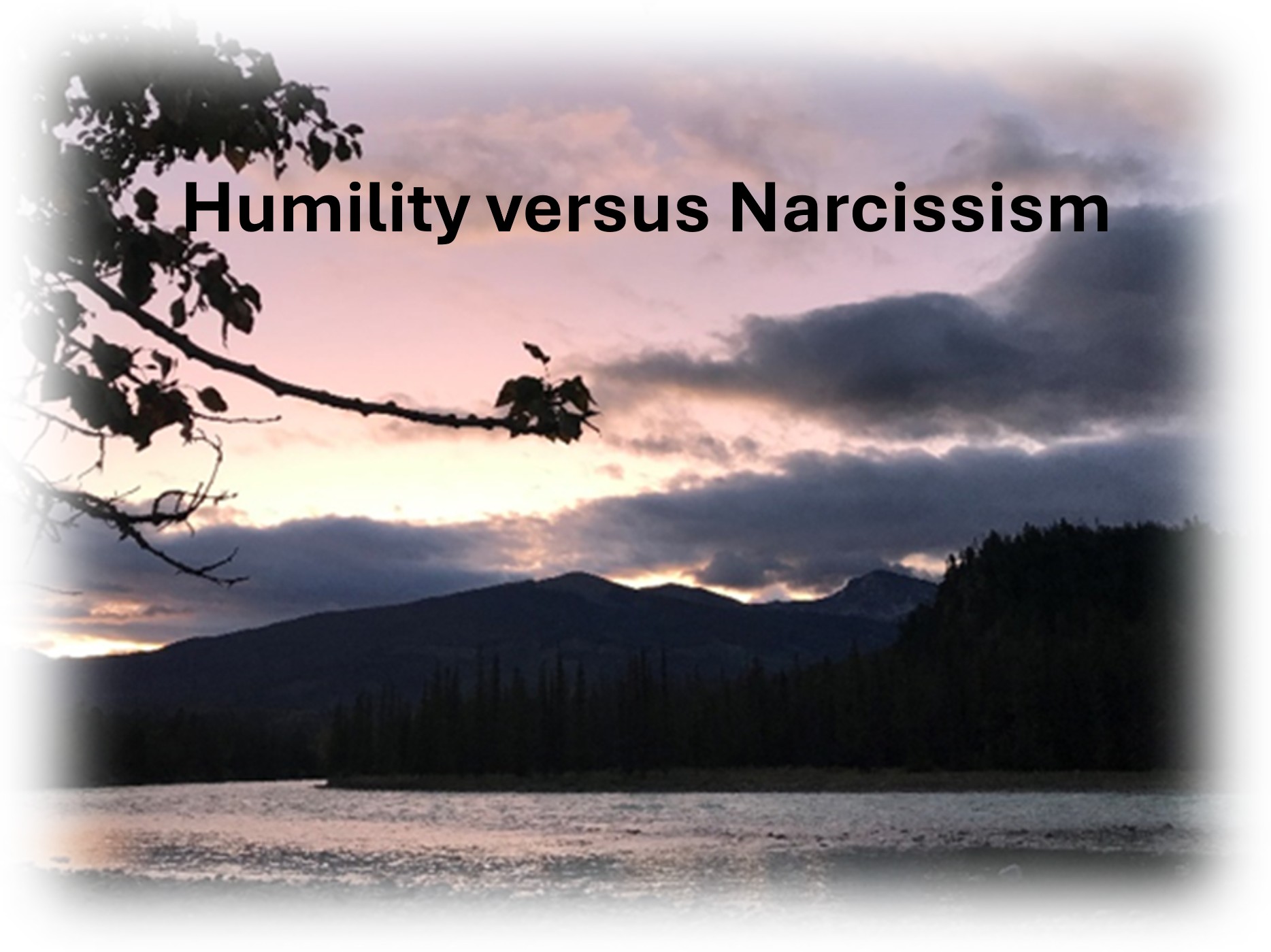 Read more about the article Humility vs Narcissism