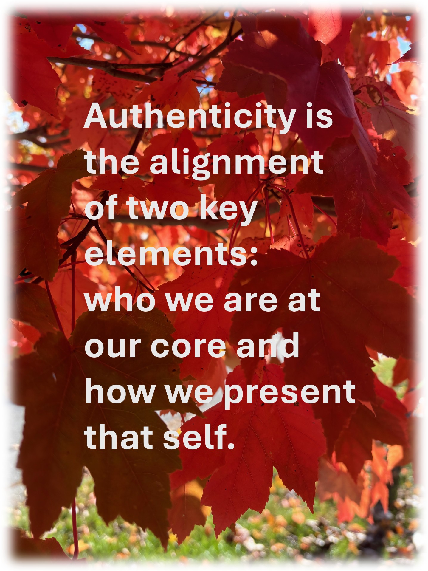 Read more about the article The Power of Personal Authenticity